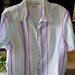Allison Daley Pastel Striped Women's Blouse